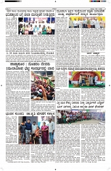 ePaper Page No  (3)